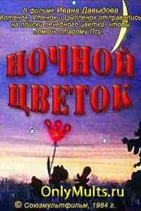Ночной цветок Ночной цветок