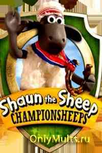 Барашек Шон: Овцечемпионат